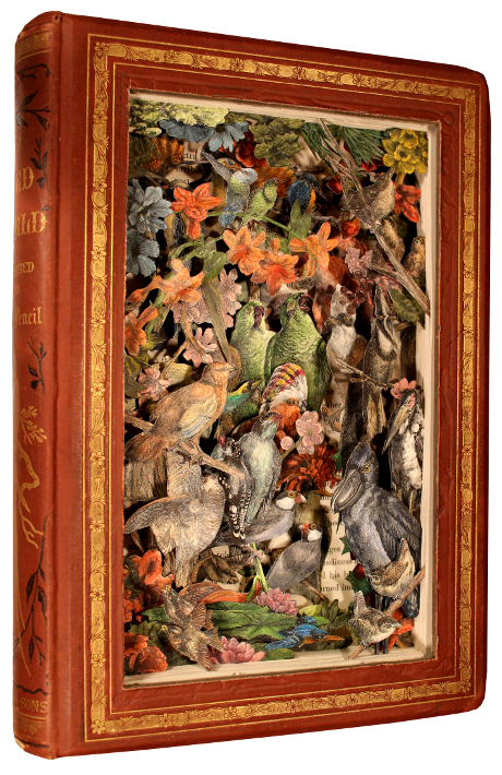 carved 3D book by Kerry Miller: The Bird World