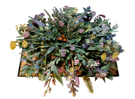 book sculptures by Kerry Miller: Wild Flowers of Great Britain - vol X