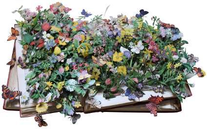 book sculptures by Kerry Miller: Butterflies & Moths of the Countryside/Wild Flowers v 1 & 2