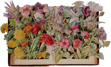 carved 3D book by Kerry Miller: Familiar Garden Flowers