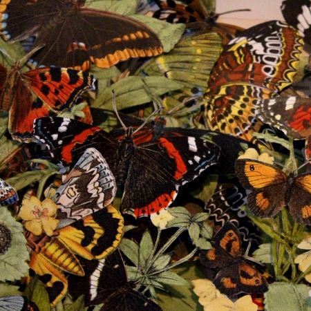 book sculptures by Kerry Miller: A Handbook To The Order Lepidoptera - vols I and 3