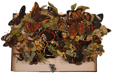 book sculptures by Kerry Miller: A Handbook To The Order Lepidoptera - vols I and 3