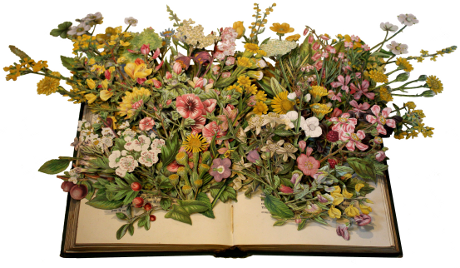 book sculptures by Kerry Miller: Flowering Plants of Great Britain - vol 2