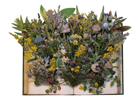 book sculptures by Kerry Miller: English Botany - vol 2