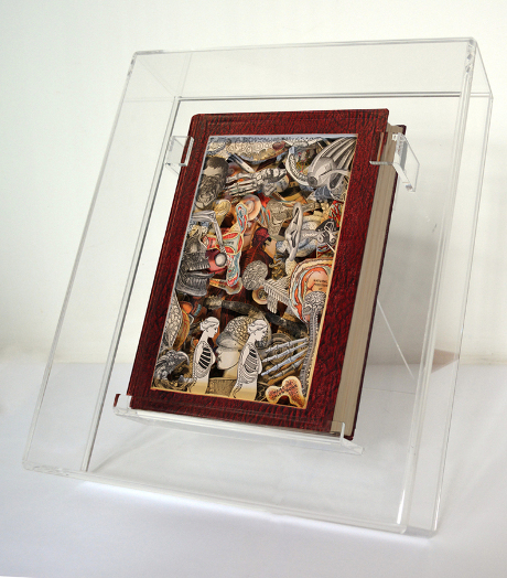 carved 3-D book by Kerry Miller: Virtue's Household Medical